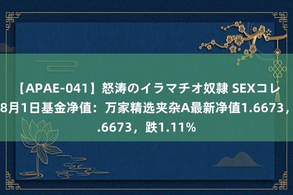 【APAE-041】怒涛のイラマチオ奴隷 SEXコレクション 8月1日基金净值：万家精选夹杂A最新净值1.6673，跌1.11%