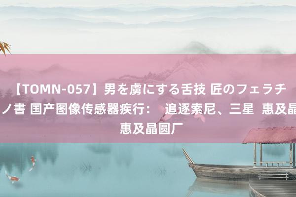 【TOMN-057】男を虜にする舌技 匠のフェラチオ 蛇ノ書 国产图像传感器疾行：  追逐索尼、三星  惠及晶圆厂