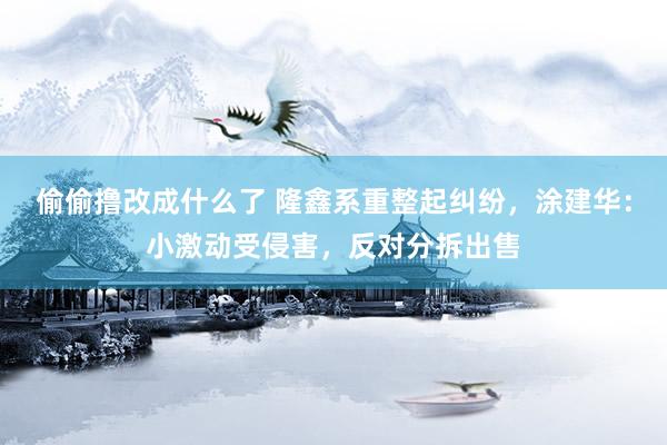 偷偷撸改成什么了 隆鑫系重整起纠纷，涂建华：小激动受侵害，反对分拆出售