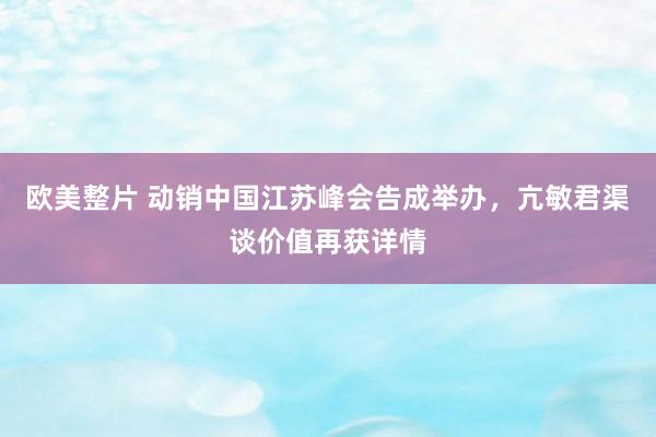 欧美整片 动销中国江苏峰会告成举办，亢敏君渠谈价值再获详情