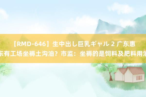 【RMD-646】生中出し巨乳ギャル 2 广东惠东有工场坐褥土沟油？市监：坐褥的是饲料及肥料用油