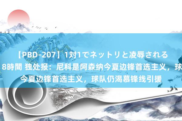 【PBD-207】1対1でネットリと凌辱されるプレミア女優たち 8時間 独处报：尼科是阿森纳今夏边锋首选主义，球队仍渴慕锋线引援