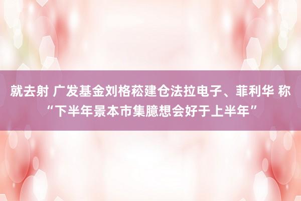 就去射 广发基金刘格菘建仓法拉电子、菲利华 称“下半年景本市集臆想会好于上半年”