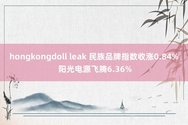 hongkongdoll leak 民族品牌指数收涨0.84% 阳光电源飞腾6.36%