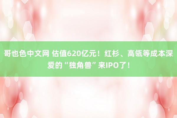 哥也色中文网 估值620亿元！红杉、高瓴等成本深爱的“独角兽”来IPO了！