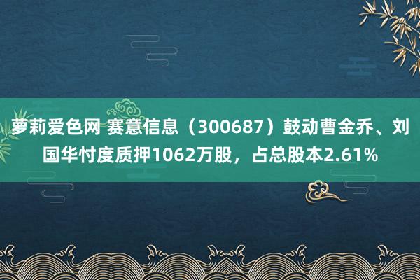 萝莉爱色网 赛意信息（300687）鼓动曹金乔、刘国华忖度质押1062万股，占总股本2.61%