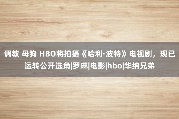 调教 母狗 HBO将拍摄《哈利·波特》电视剧，现已运转公开选角|罗琳|电影|hbo|华纳兄弟