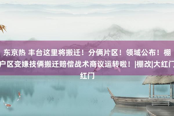 东京热 丰台这里将搬迁！分俩片区！领域公布！棚户区变嫌技俩搬迁赔偿战术商议运转啦！|棚改|大红门